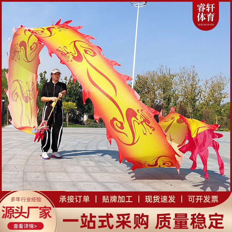 广场舞龙彩带甩甩龙健身龙七彩运动镂空钢架龙头中老年男女舞龙