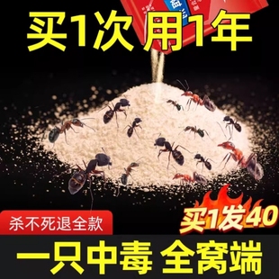 蚁药粉家里有去蚂蚁除红白马义药蟑螂蚂蚁除蚂蚁药全窝 杀马蚁药码