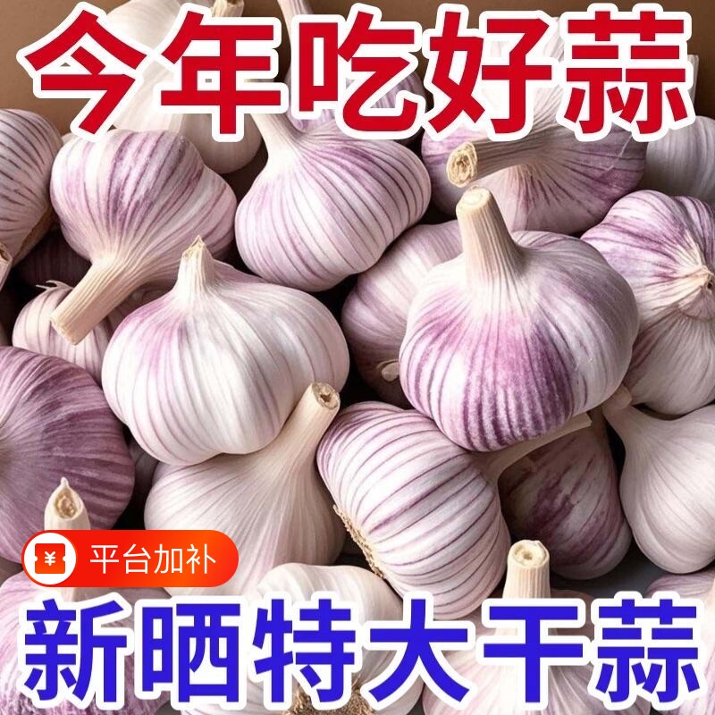 金乡大蒜农家大蒜头干蒜紫白皮新干蒜种籽新鲜蔬菜农家新大蒜头
