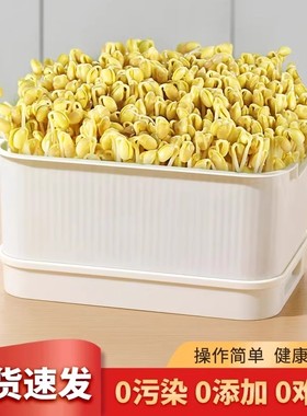 豆芽发芽盆神器家用水培蔬菜无土栽培芽苗菜育苗盘豌豆绿豆芽菜