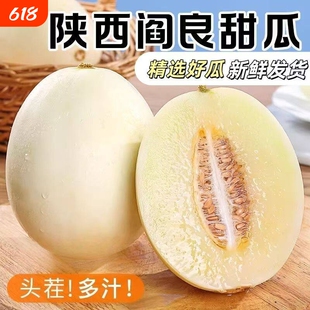 陕西阎良甜瓜脆甜多汁新鲜水果当季整箱包邮蜜瓜脆小籽白西瓜密瓜