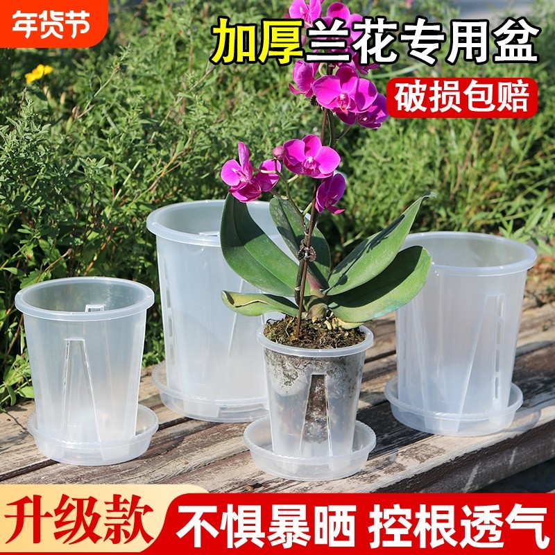花大爷大号加厚升级控根透气空气柱花盆透明环保树脂塑料种植花盆,鲜花速递/花卉仿真/绿植园艺,花盆,淘宝优惠券,粉丝福利购,淘宝优惠卷