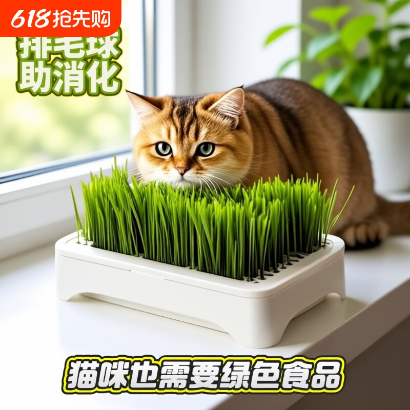 水培小麦种子育苗即食猫草猫咪排毛自种无土植物土培养猫直接吃