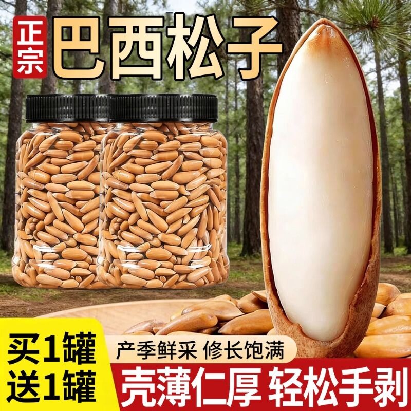 巴西松子2025新货手剥长粒松子25旗舰店零食特产大颗粒阿富汗坚