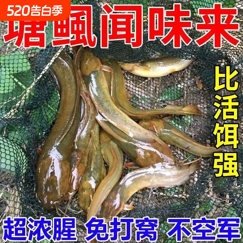 塘角鱼饵料黄骨鱼胡子鲶鱼饵塘鲺鱼专用野钓料塘鲺土塘专用通用