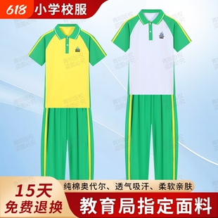 广州番禺区小学生校服公立男女夏季运动服纯棉短袖短裤薄长裤套装