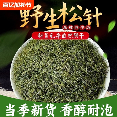 野生松针茶官方旗舰店长白山野生马尾松的功效与作用泡水喝中药材