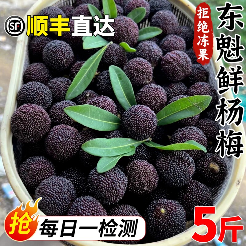 顺丰正宗东魁鲜杨梅新鲜现摘现发老树果杨梅大果孕妇水果整箱包邮