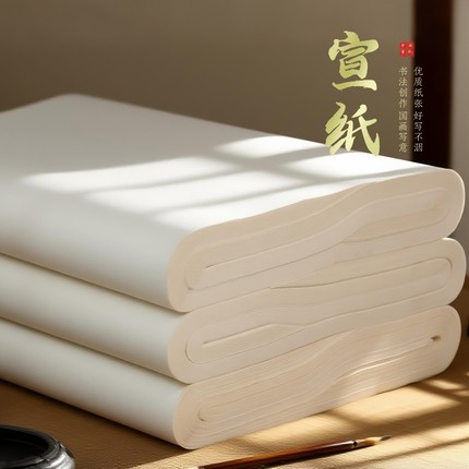 国画宣纸半生半熟书法专用纸初学者毛笔字练习纸工笔画加厚美术专用练字半生熟生宣熟宣四尺手写对开整张三尺