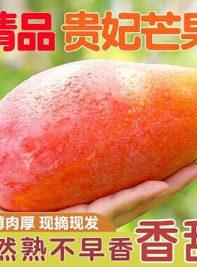 海南贵妃芒芒果新鲜当季