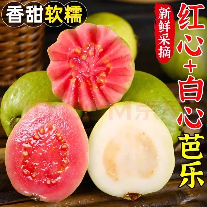 红心软心芭乐广西白心奶油新鲜芭乐双拼番石榴水果新鲜包邮