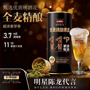 小麦白啤 轩博精酿全麦精酿880ml麦芽度11P德式