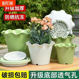 荷叶边树脂花盆荷叶边花盆波浪边花边花盆盆栽花卉绿植透气花盆