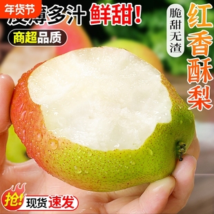 正宗陕西红香酥梨新鲜梨子当季薄皮香梨酥梨雪梨特产水果整箱应季