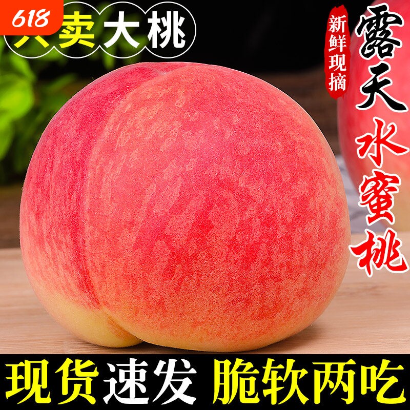 新鲜露天水蜜桃当季现摘毛桃子新鲜水果脆甜春雪蜜桃大果孕妇整箱