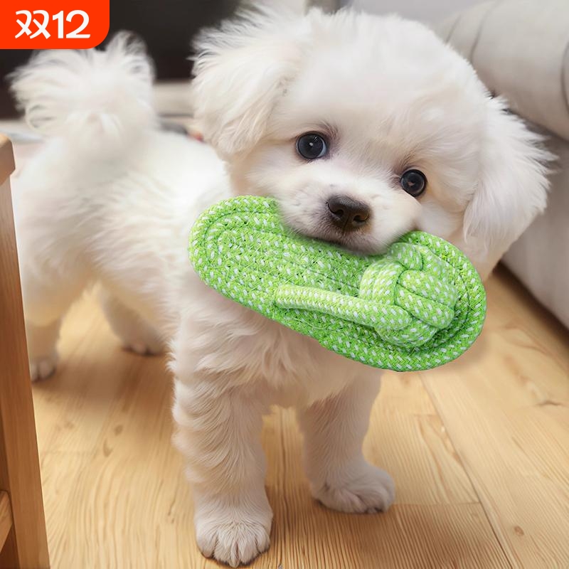 狗狗玩具磨牙耐咬绳结拖鞋小型幼犬泰迪比熊博美解闷互动宠物用品