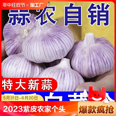 山东金乡大蒜头干蒜5斤装紫皮3斤