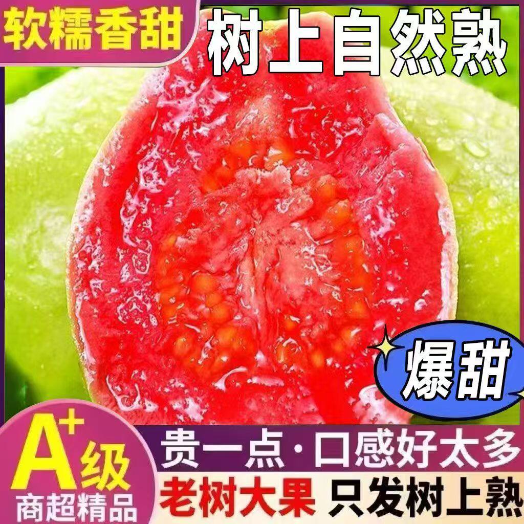 福建软糯芭乐5斤水果漳州当季奶油番石榴新鲜巴乐果整箱脆甜红心