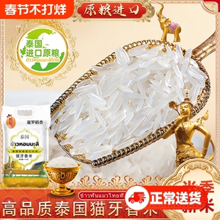 泰粮猫牙香米新米泰国进口长粒香米象牙米米香大米10斤装新鲜优质