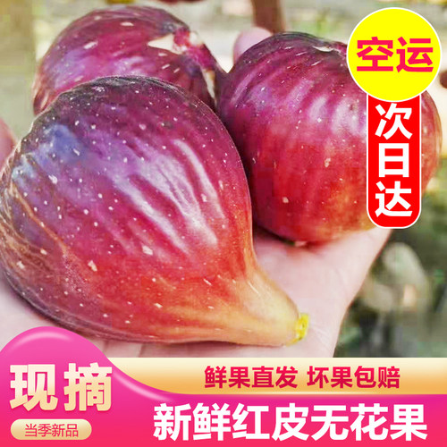 空运包邮-新鲜现摘红皮无花果波姬红大果孕妇儿童水果整箱当季