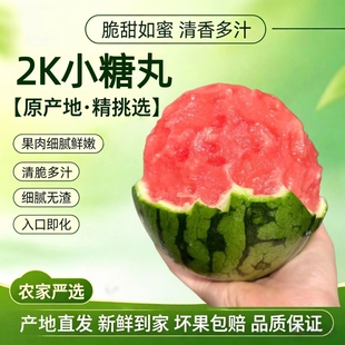 手剥皮小西瓜2K小糖丸西瓜新鲜水果薄皮红肉手撕甜瓜整箱冰淇淋