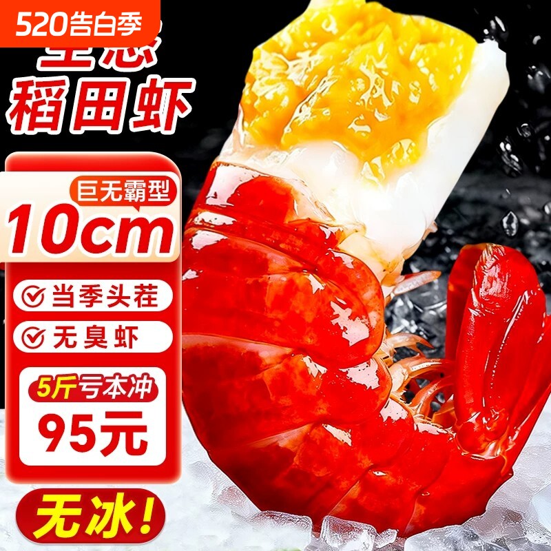 龙虾尾冷冻鲜活小龙虾无冰衣龙虾尾批发生鲜整箱特级大号虾球鲜冻