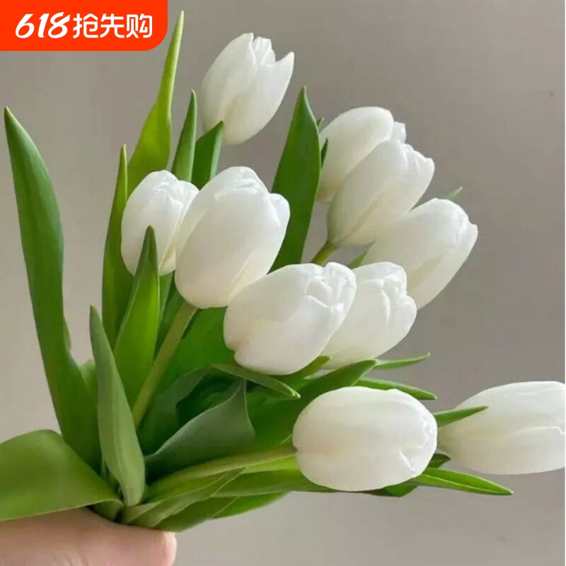郁金香鲜切花上海同城鲜花速递家用瓶插花艺装饰江浙沪皖两扎包邮