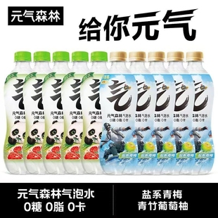 整箱元 15瓶青竹葡萄柚0糖0卡饮料清仓青梅盐系 气森林气泡水480ml