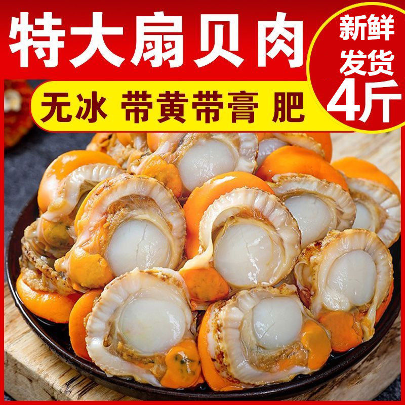 新鲜特大号扇贝肉冷冻扇贝肉海鲜红贝烧烤蒜蓉粉丝无冰衣扇贝肉,水产肉类/新鲜蔬果/熟食,贝类制品,淘宝优惠券,粉丝福利购,淘宝优惠卷