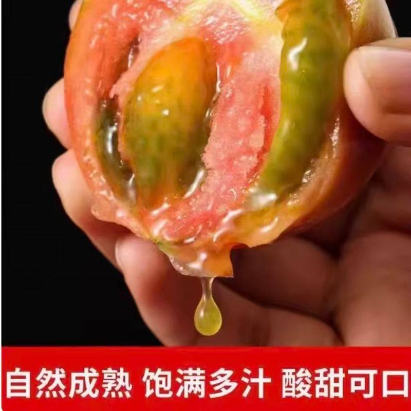丹东铁皮柿子老品种西红柿新鲜自然熟水果绿腚番茄生吃起沙瓤爆汁,水产肉类/新鲜蔬果/熟食,番茄,淘宝优惠券,粉丝福利购,淘宝优惠卷