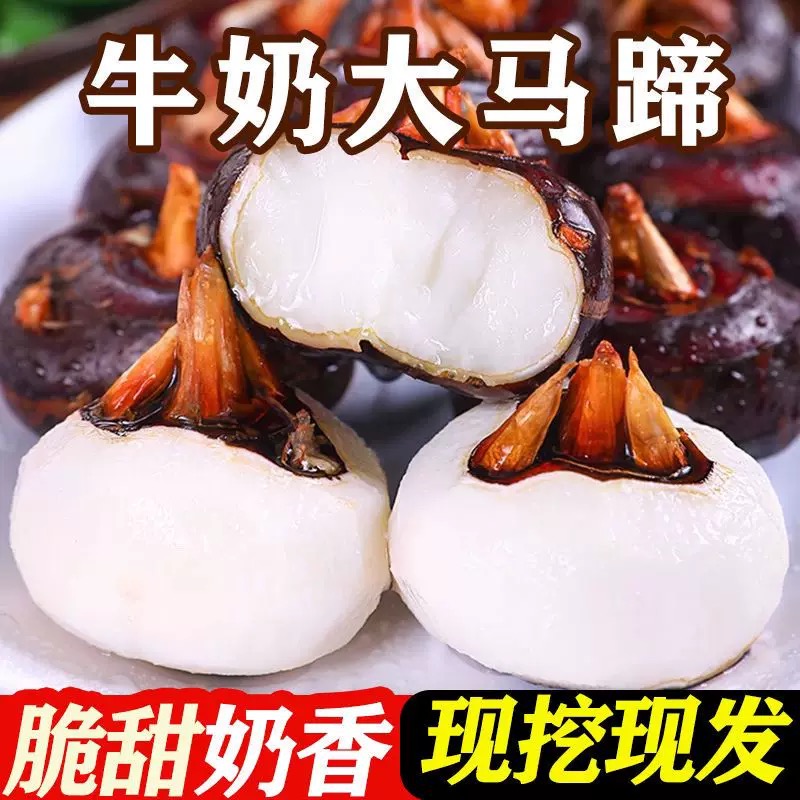 正宗新鲜马蹄荸荠新鲜地梨当季水果马蹄果饽荠特产农家蔬菜5斤装