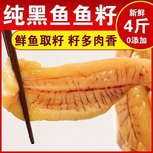 冷冻黑鱼籽财鱼籽鱼油乌鳢籽乌蛇头商用批发鱼卵鱼蛋鱼泡新鲜水产