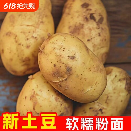 新鲜土豆黄皮黄心土豆马铃薯