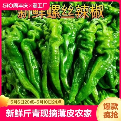 现摘新鲜螺丝椒5斤装农家自种青椒炒菜椒虎皮青椒螺丝椒新鲜辣椒