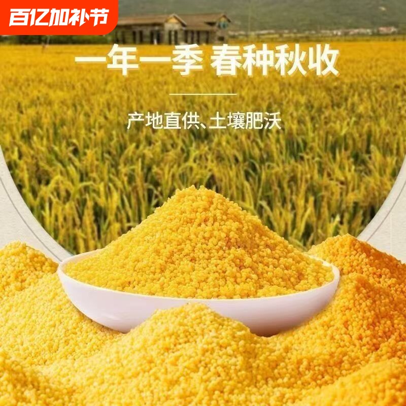 2025新米黄小米5斤农家自产正宗小黄米油厚五谷杂粮米糯米黄金