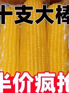 黄糯玉米非转基因低脂代餐
