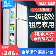 Холодильник 小冰箱家用小型双开门省电迷你宿舍租房用冷藏冷冻一级节能电冰箱
