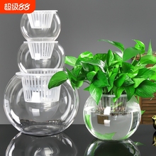创意水培瓶植物透明玻璃花瓶花盆共养缸水养摆件器皿桌面极简吸水