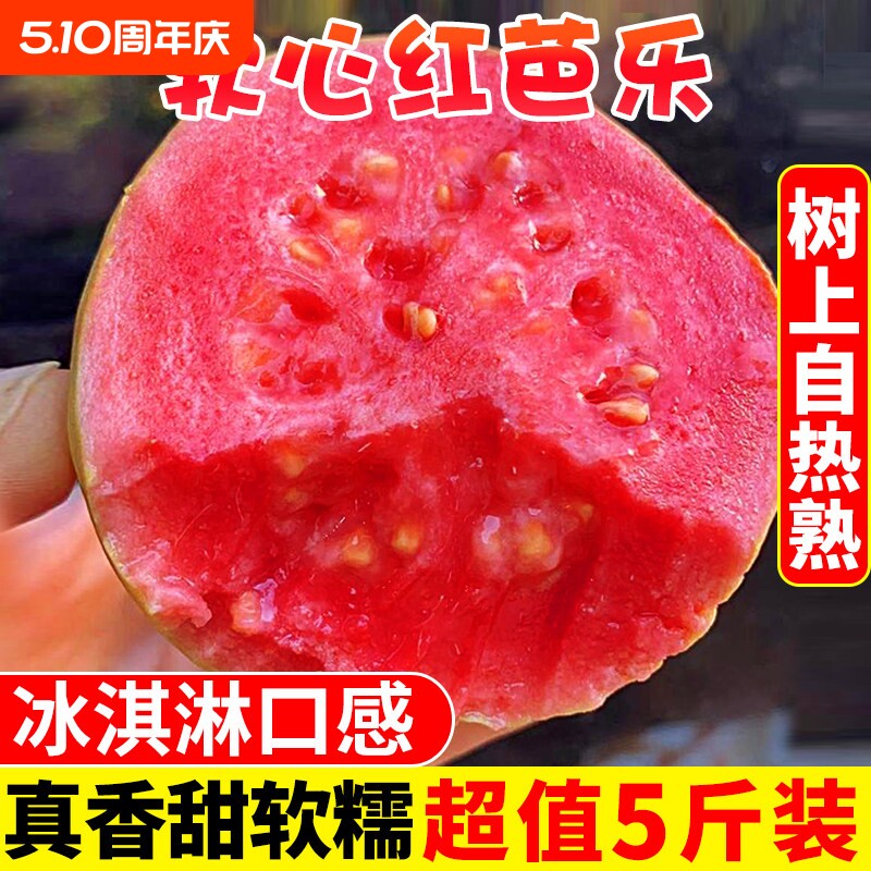 福建软糯红心芭乐5斤新鲜水果番石榴脆甜胭脂红巴乐整箱包邮现摘
