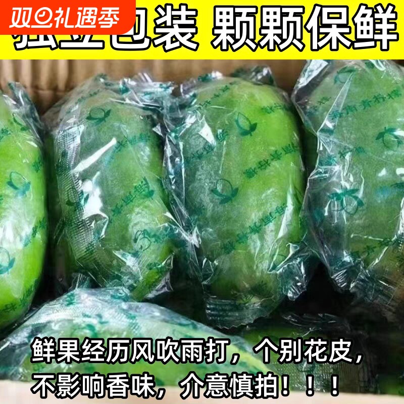 海南无籽香水青柠檬新鲜5斤子弹头当季水果薄皮小青柠奶茶店专用
