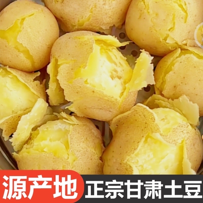正宗甘肃定西土豆沙面黄心马铃薯蔬菜洋芋旱沙地种植新鲜现挖9斤