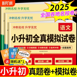 2025小升初真题卷语文数学英语必刷题人教版小学毕业升学总复习六年级试卷测试卷考试暑假衔接教材浙江广东湖南E名校初中练习冲刺