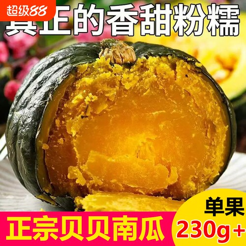 正宗板栗味贝贝南瓜当季新鲜采摘婴儿辅食粉糯甜新鲜南瓜大贝南瓜