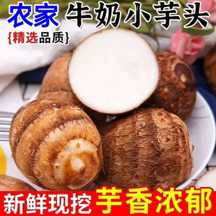 现挖贵州新鲜牛奶小芋头毛芋艿香芋应季 蔬菜软糯香滑粉糯