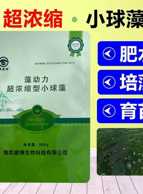 蛋白核小球藻藻种水产养殖鱼虾蟹小龙虾水库池塘肥水培藻复合藻种