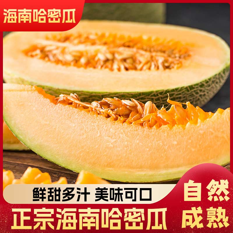 正宗海南哈密瓜新鲜水果当季脆甜网纹瓜西州蜜香瓜老汉瓜整箱