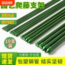花架葡萄架豆角黄瓜支撑架植物包塑钢管固定杆园艺支架 爬藤架月季