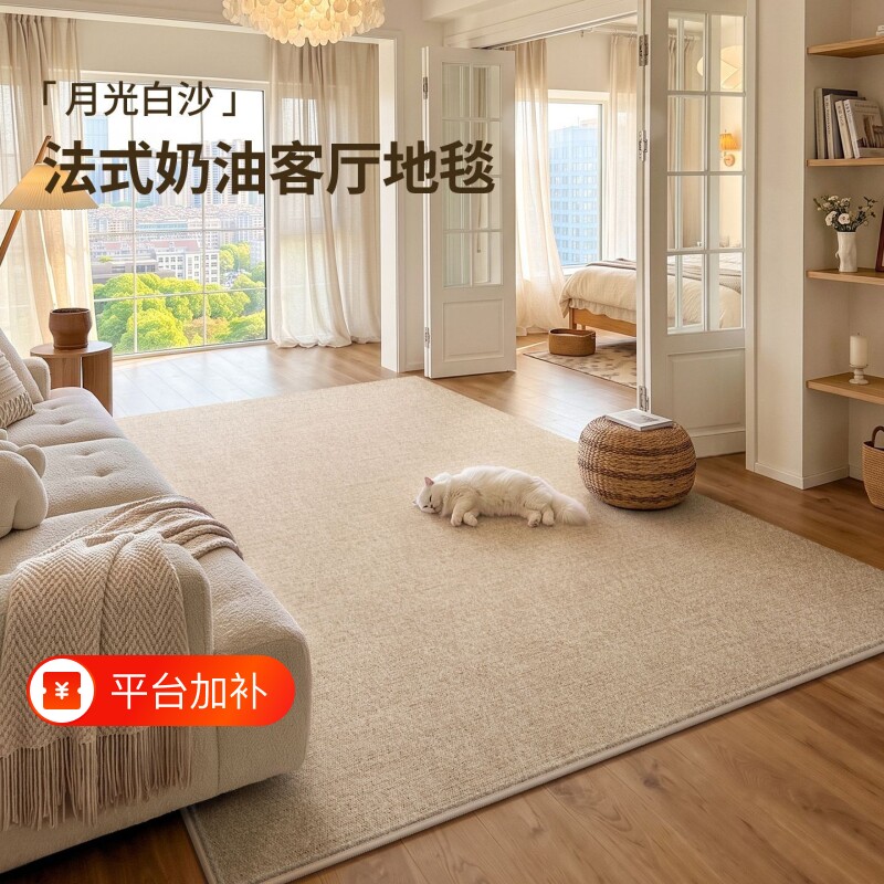 地毯客厅2026新款高级免洗可擦沙发卧室奶油风防水防污免打理地垫