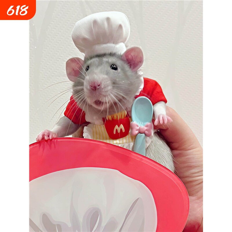 料理鼠王花枝鼠厨师帽仓鼠小衣服可爱小围裙拍照装扮2026新款造景