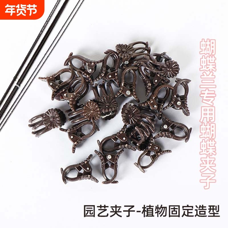 蝴蝶兰夹子支架兰花专用蔓藤造型夹子园艺防倒伏固定架子支撑杆